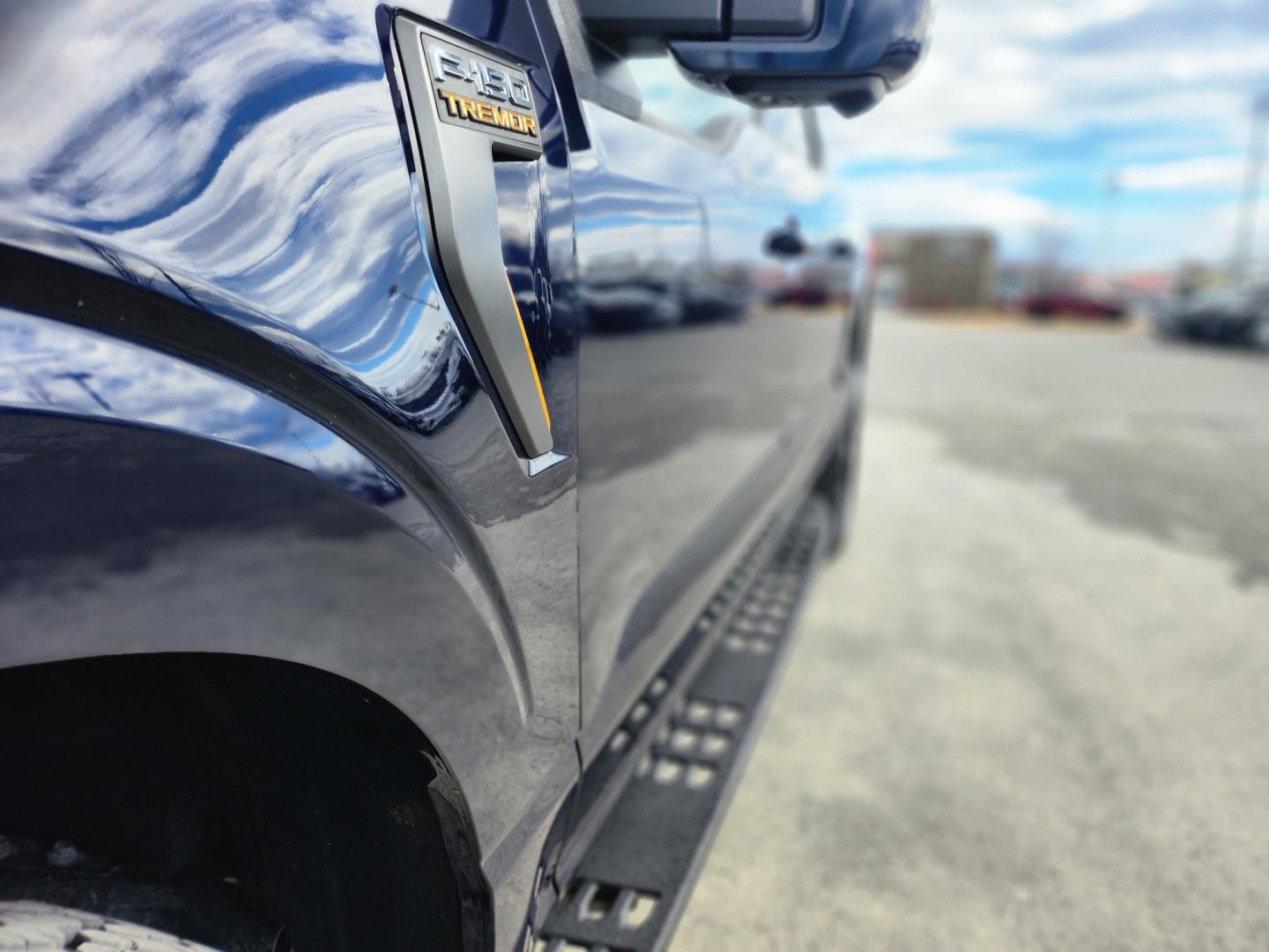 2022 BLUE /BLACK FORD F-150 TREMOR (1FTEW1E81NF) with an 3.5L engine, Automatic transmission, located at 1960 Industrial Drive, Wasilla, 99654, (907) 274-2277, 61.573475, -149.400146 - Photo#7